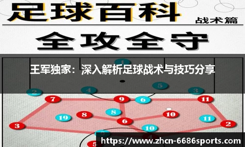 6686体育平台